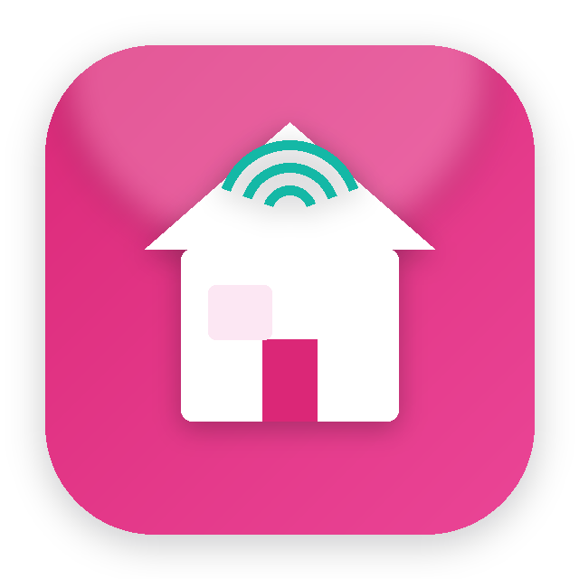Home IT Support